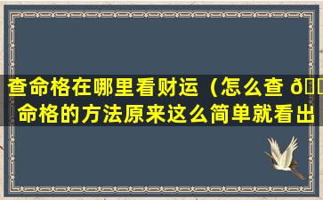 查命格在哪里看财运（怎么查 🍁 命格的方法原来这么简单就看出来了）